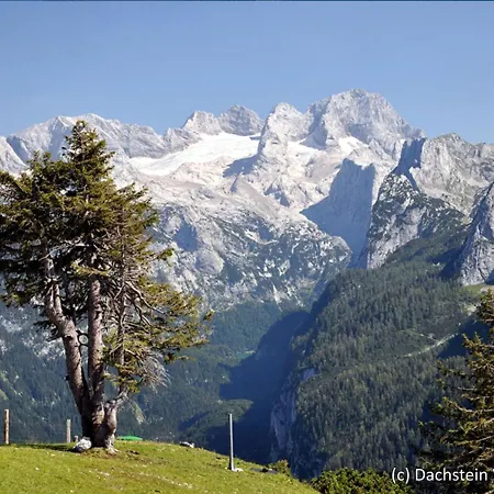 Holiday Alpenrose.17 Hébergement de vacances