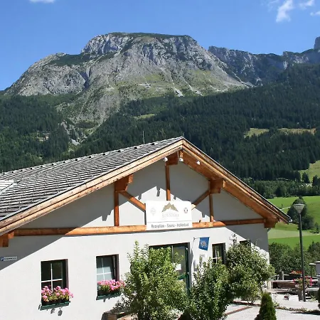 Holiday Alpenrose.17 *