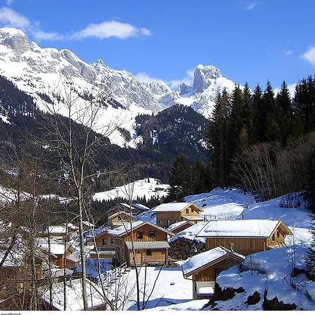 Holiday Alpenrose.17